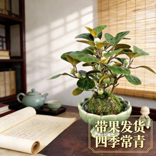 С�������������ʽ�U���辰�����l؛�ļ������҃�����[������