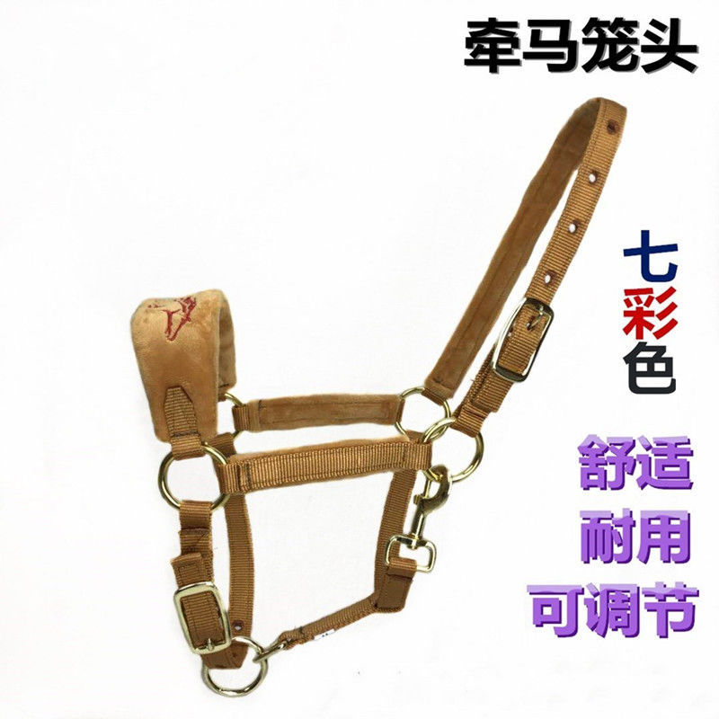 Bridle Carriage saddle New products colour Tuning Size Pony Faucet Equestrian Supplies