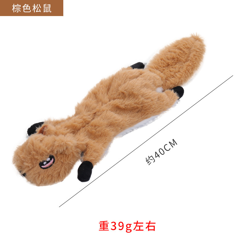 연한 갈색 다람쥐