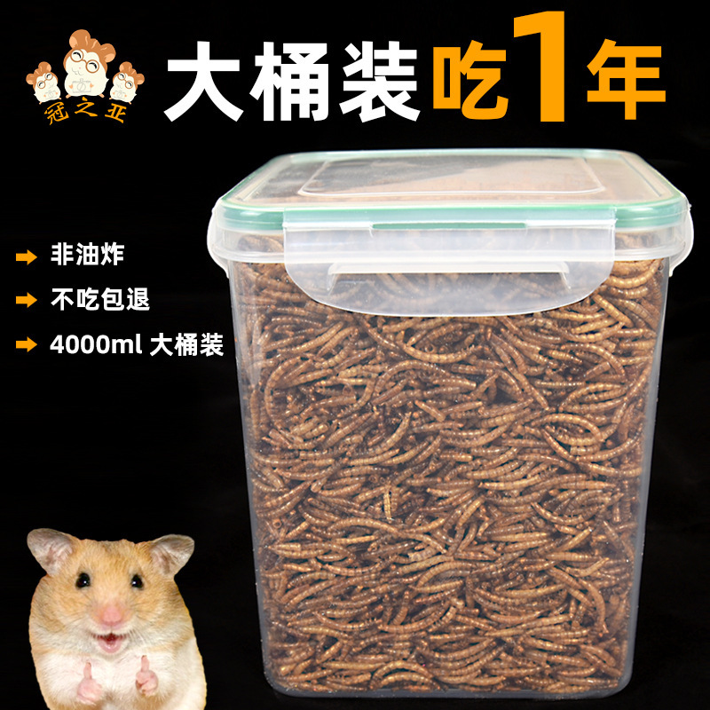 Hamster bread worm dry snack feed golden bear special nutrition food main food Yellow mealworm dry drying large capacity