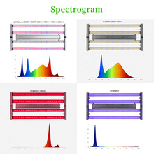 �t���Ϲ�׹��ГQȫ���Vֲ�����ݳ��L���m���߲��a������S����