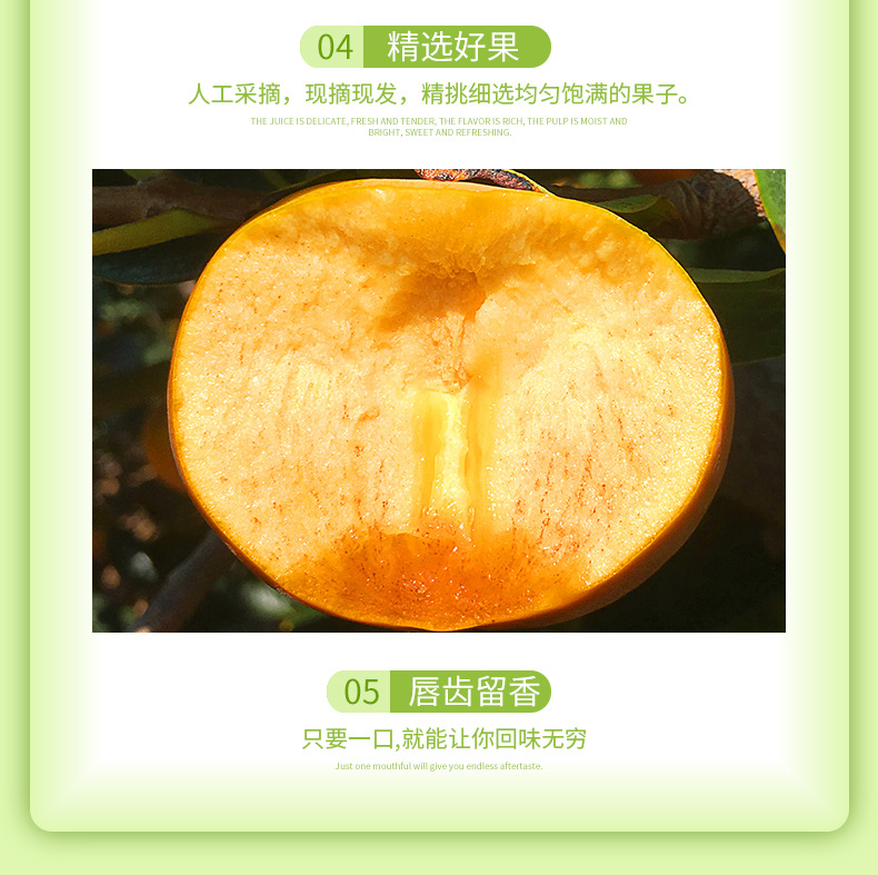 陕西脆甜柿子_07