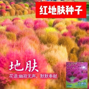 ���w�N�Ӽt�G���w�������λ���ͥԺ�����׻�������ȸ�ɷN��