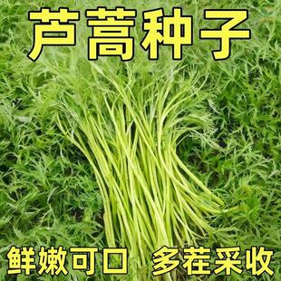 �J��N��޼������������۶�����һ�ηNֲ�����̨ͥԺ����Ұ����