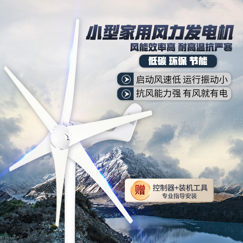 风力发电机家用220V小型风能大功率12v24v永磁带风光发电丁欧