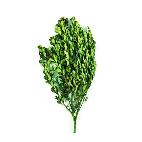 Everlasting flowers, boxwood leaves, dried flowers, bouquets, handmade diy creative flowers, home decoration, photography, leaf raw materials, wholesale