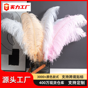 �S�����l 60-65cm�r�B����ë�b�c·�����߿͏d�͏d�廨ƿ�[��