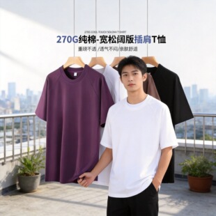 ��ʽ�͹��ذ�270�˲����T�������p�����ἃ������ᘌ������e����