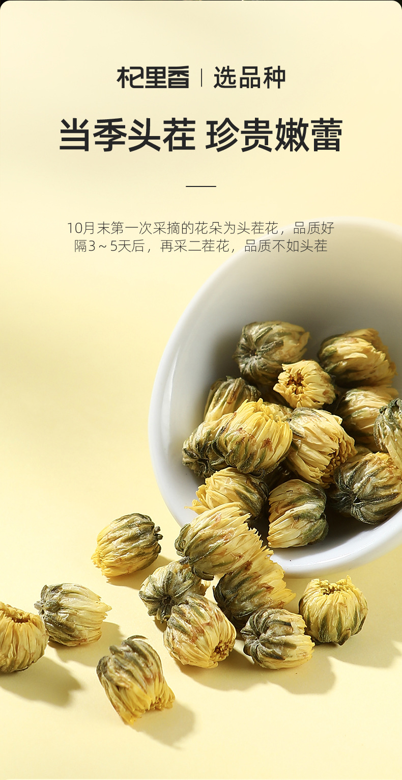 Tongxiang First Harvest Fetal Chrysanthemum Tea Buds Dried Flower Tea 40g Can key features