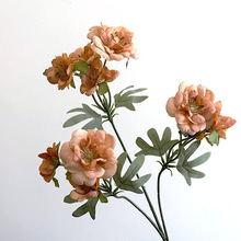 ֧ɽ軨 滨Ҿb̄ջӼٻˇƷ Sl羳