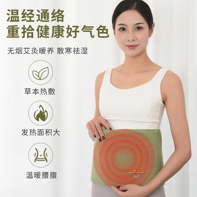 Electric Moxibustion Heat Belt Ai Jiu Bao Warm Waist and Abdomen Therapy Pad with Wild Mugwort Wool Herbal Pack for Home Use preparation