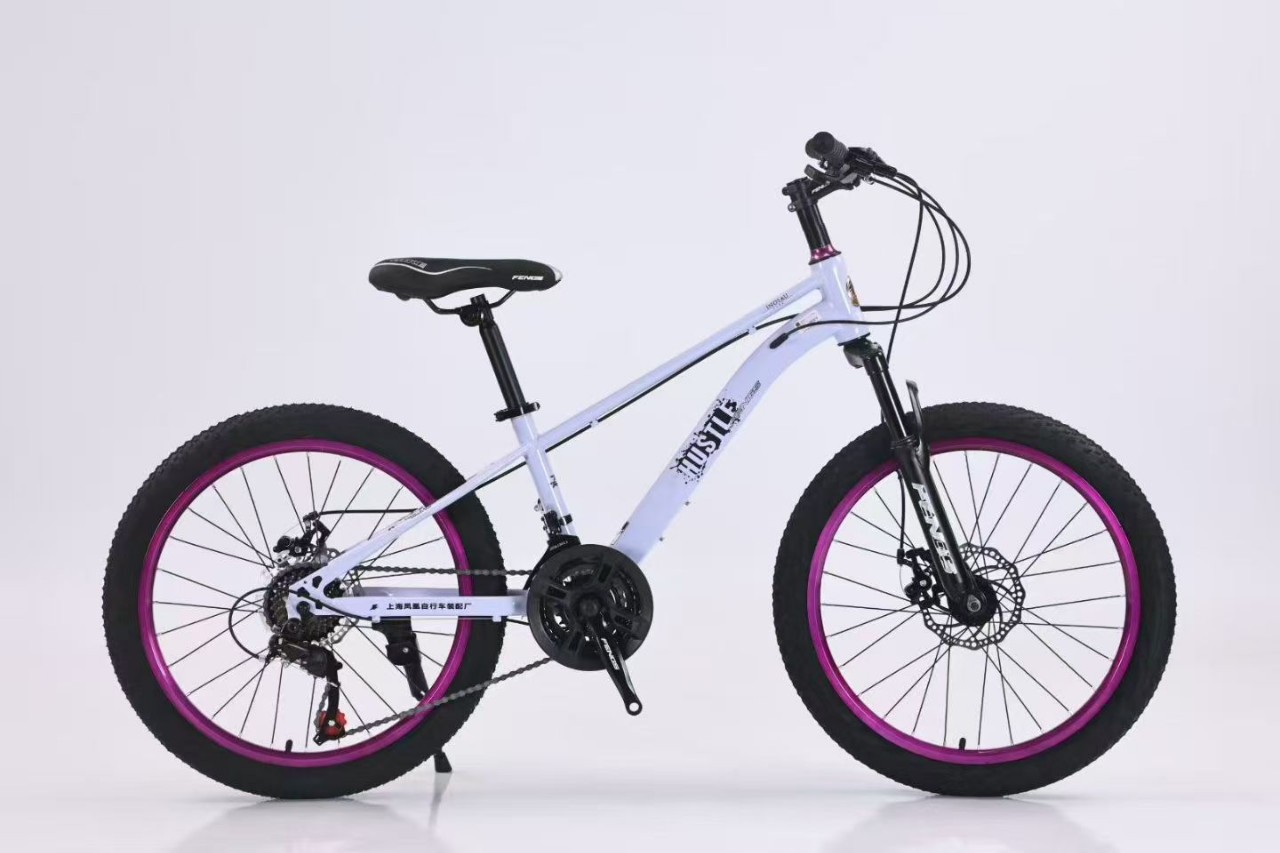 22 Phoenix viento violeta círculo bicicletas de montaña cambio de velocidad bicicleta de montaña para adultos