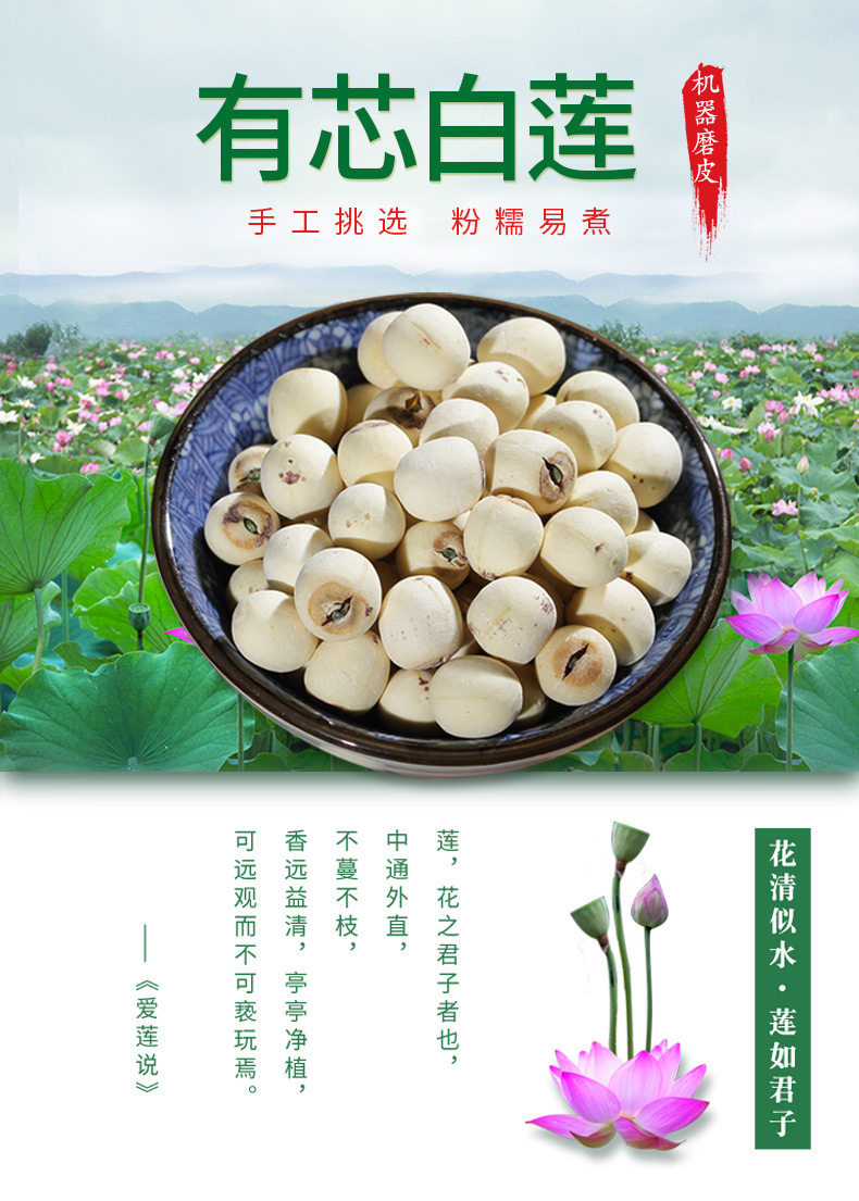 Dried Lotus Seeds with Core Bai Lian Zi 500g Wild White Lotus Seeds for Soup and Tea overview