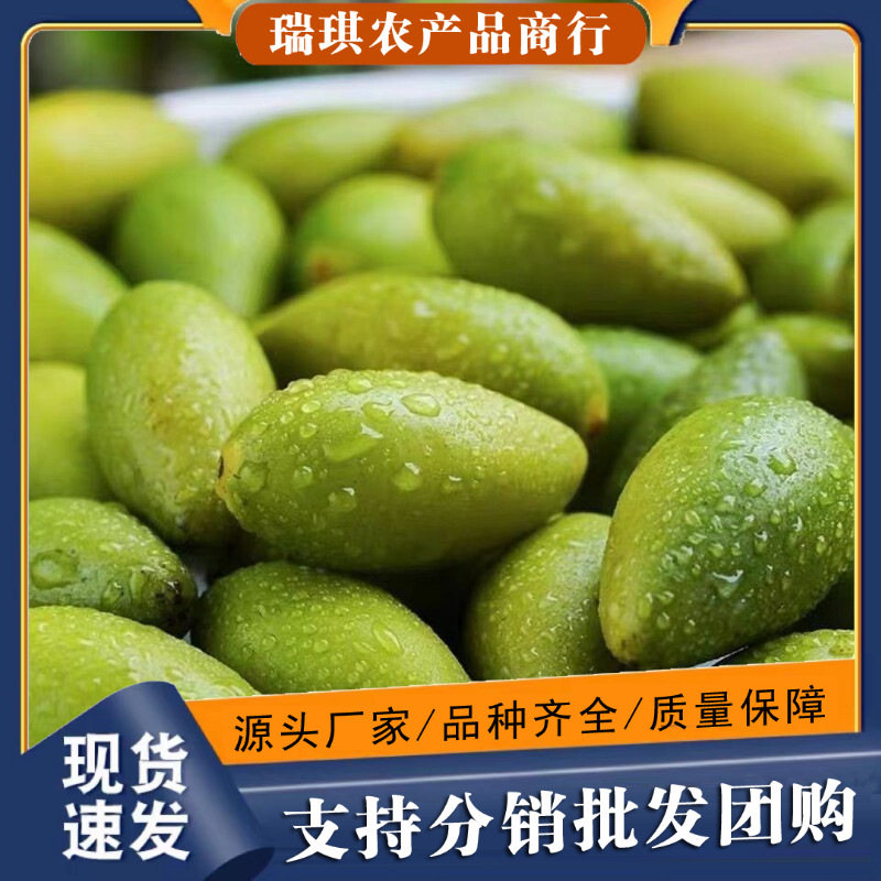 闽臻新鲜橄榄1000g青橄榄产地直发2袋福州特产闽清檀香橄榄橄榄果