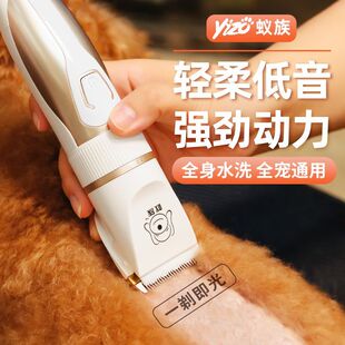 ������ë��������Ƽ�؈��̩�Ϲ�ë���I��ë�����_ë������Ʒ��ȫ