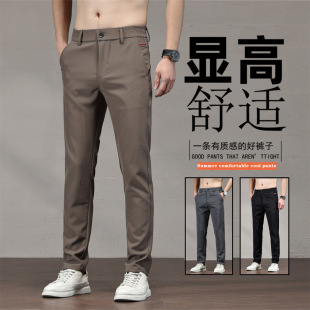 2025 New Casual Pants Men's Stretch Slim-fit Straight Business All-match Pants Summer Ice Silk Thin Trousers for Men