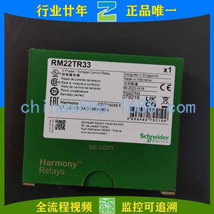 Schneider ConTRol Relay RM22-TR33