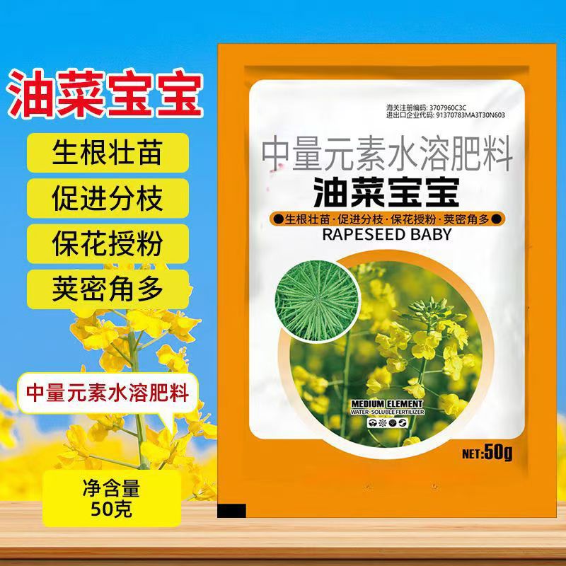 微信图片_20241127190452