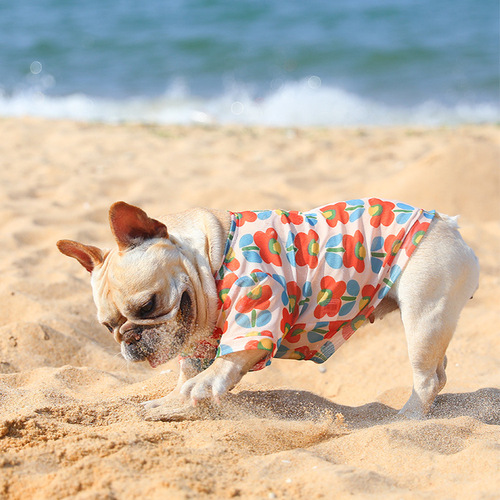 Summer mesh pet sun protection clothing breathable and cool small dog sweatshirt T-shirt Teddy small dog dog clothes
