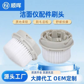 其他居家日用;洁面仪;其他塑料加工