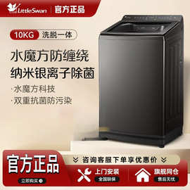 小.天鹅小乌梅2.0轻奢版波轮洗衣机全自动家用变频防缠绕除菌纳米