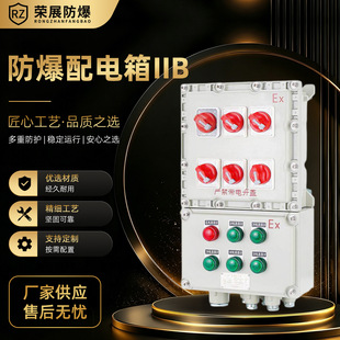 ���������IIB���ƙz��������������IIC��������·��늃x�������