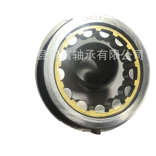 供应非标205X2NXW3 X/V 圆柱滚子轴承  标准滚子