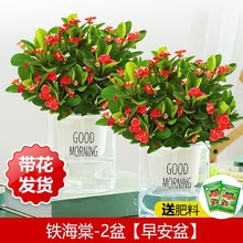 �F�������Ի����҃��辰�Gֲ�ļ��_������÷�k���̨�����_��ֲ��