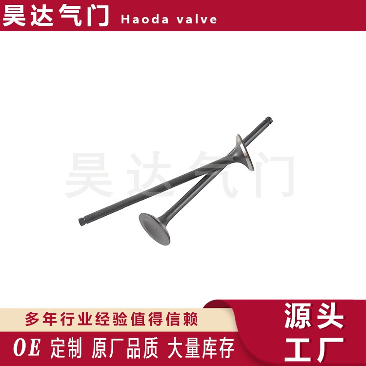 Завод источника производит различные модели впускного клапана 4137337 выпускного клапана 4137338