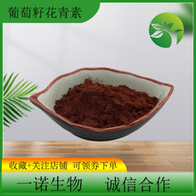 葡萄籽提取物95% 原花青素 OPC低聚原花青素粉现货葡萄籽原花青素