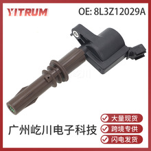 8L3Z12029A 8L3Z-12029-A适用于福特F-550林肯领航员汽车点火线圈