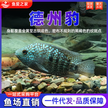 ���ݱ��~�G���˝M���ǵ��_˹���д��͟Ꭷ�^�p�~�����lؔ�~�����~