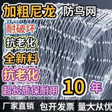 果园防鸟用网果树樱桃葡萄农田家用养殖稻谷大棚防护全新鸟儿网子