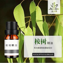 �Ჴ���ȼ�������Eucalyptus oil��侫�����~��ֲ��η�����ԭ��