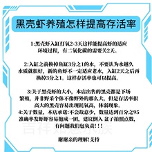 黑壳虾观赏虾除藻工具虾草缸冷水淡水清洁虾乌龟龙鱼活体饲料