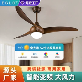 风扇灯;吊扇;灯控制器