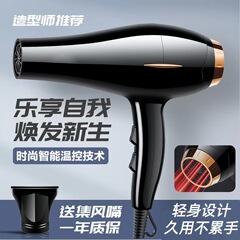 メーカー卸売ブルーレイマイナスイオン速乾大風力ヘアトリートメントドライヤー大筒ヘアケア静音ヘアドライヤークロスボーダー