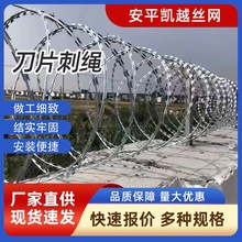刀片刺绳镀锌刺丝滚笼不锈钢防爬刺网铁蒺藜防盗网围墙带刺铁丝网