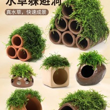 鱼缸莫斯陶罐水草造景真植物鱼虾躲避罐虾屋小摆件小鱼繁殖躲避屋