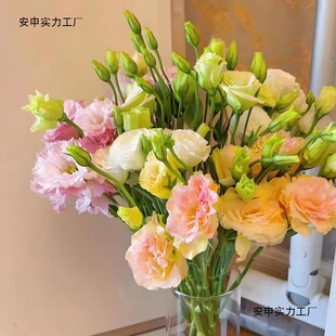 ����r��ֱ�l�B����۹��҃�ֱ�������͏d�r���k���Ҳ廨�[���л�