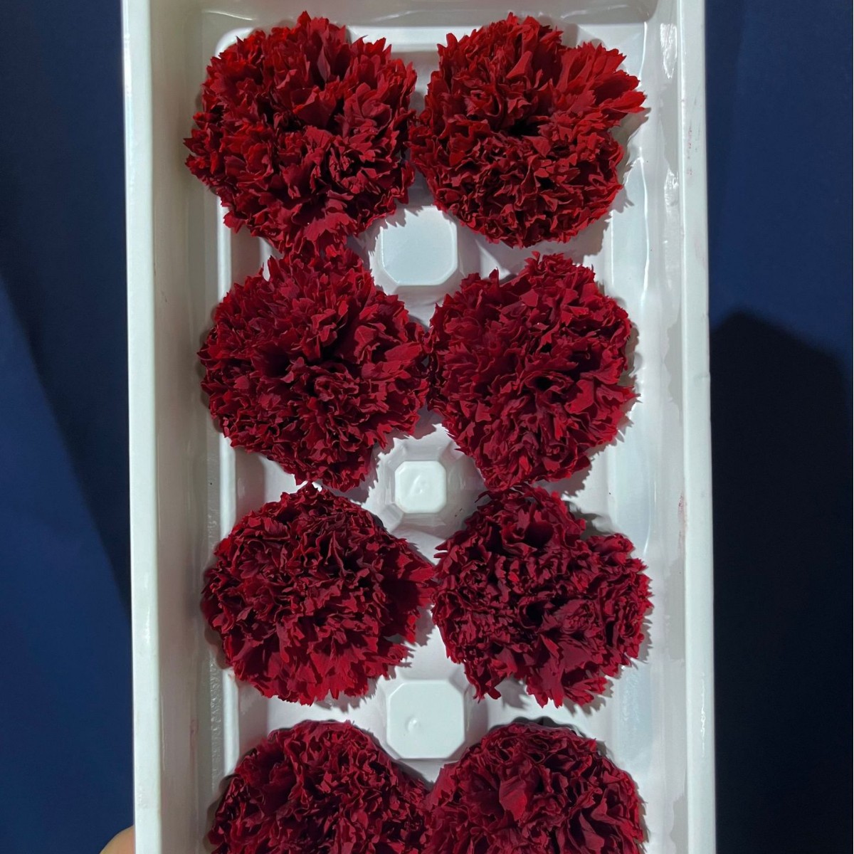 Cabezas de Claveles Preservadas A+, 4-5 cm, Paquete de 8, Arte Floral DIY, Caja de Regalo Educativa, Día de la Madre, Venta al por Mayor de Fábrica