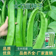 �󵶶��N�Ӵ����ļ����N���͟��߲˒��������L�󵶱ⶹ��