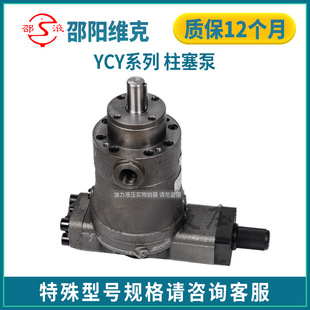��ꖾS���S��������Һ���R�_�ͱø߉��ք�׃��SY-125YCY14-1E/B