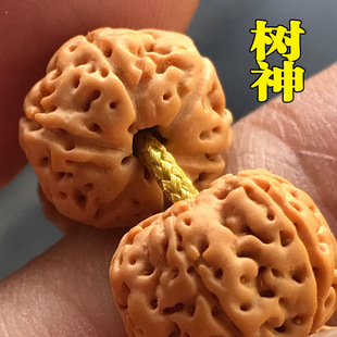 ��C����С���������ִ�108�w�������ľ�|���������ֳ��������
