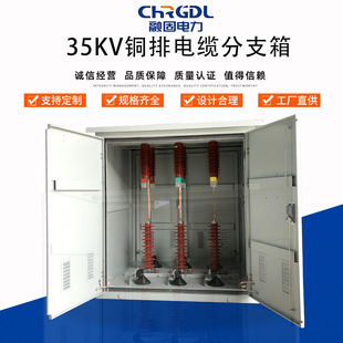 Supply complete set of high-voltage power floor docking distribution box stainless steel European-style 35KV copper bar cable branch box
