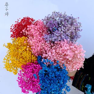 �M�����������������l�M�����������ɻ������Y�л�������Y�ﻨ��