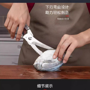 Stainless Steel Scissors for Kitchen Use, Cutting Meat, Bones, Fish, Chicken Bones, Multi-Purpose Household Scissors, Made in Yangjiang