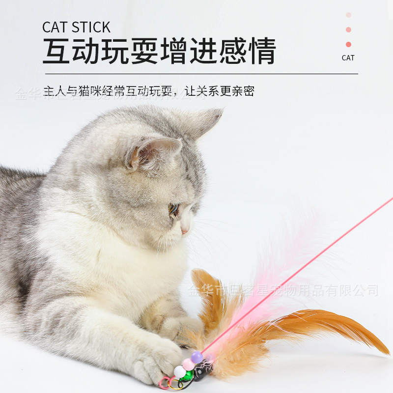 猫のおもちゃは猫の棒のワイヤーの羽を換えて頭の真珠の鈴をプラスして長く噛んで釣ります猫のインタラクティブな現物の卸売りに耐えます。|undefined