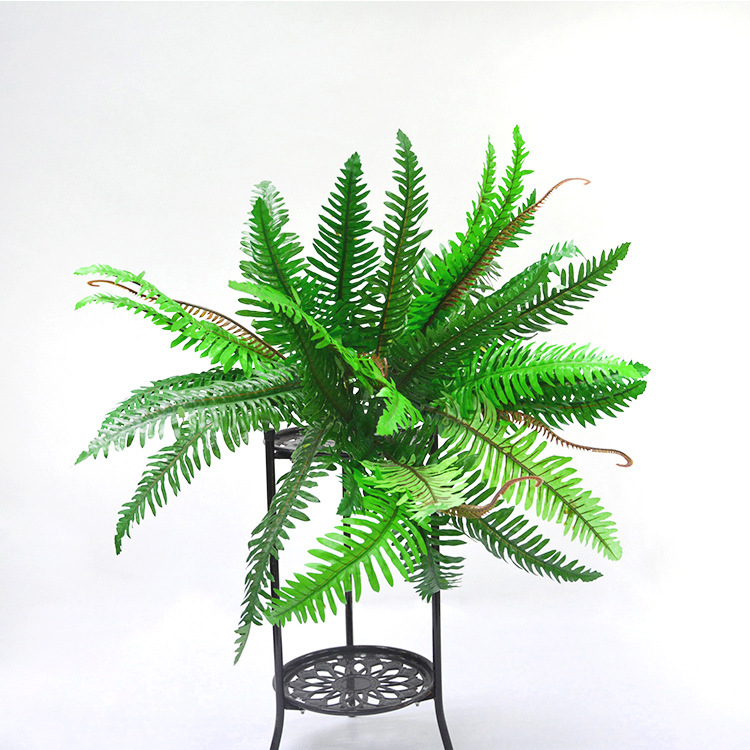 5-tenedor persa extra grande