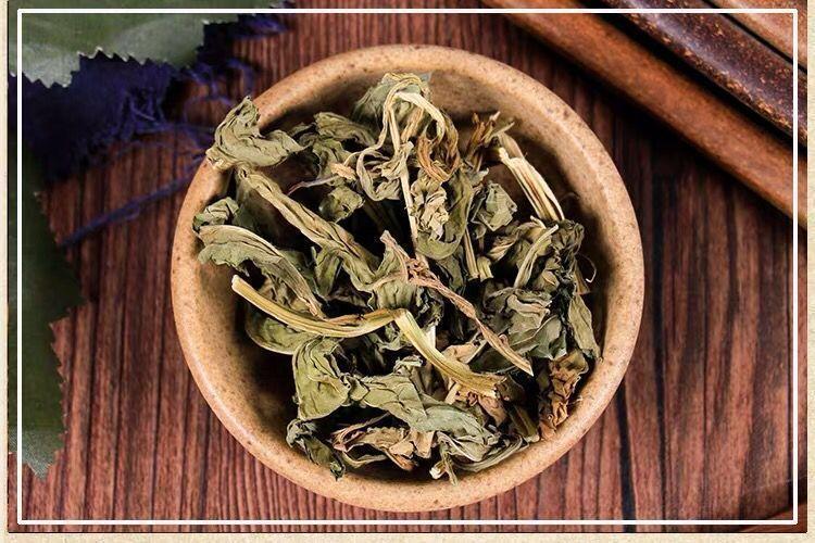Ling Xiang Cao Dried Lysimachia Foenum Graecum Herb Slices 500g Traditional Chinese Herbal Tea Ingredient in use